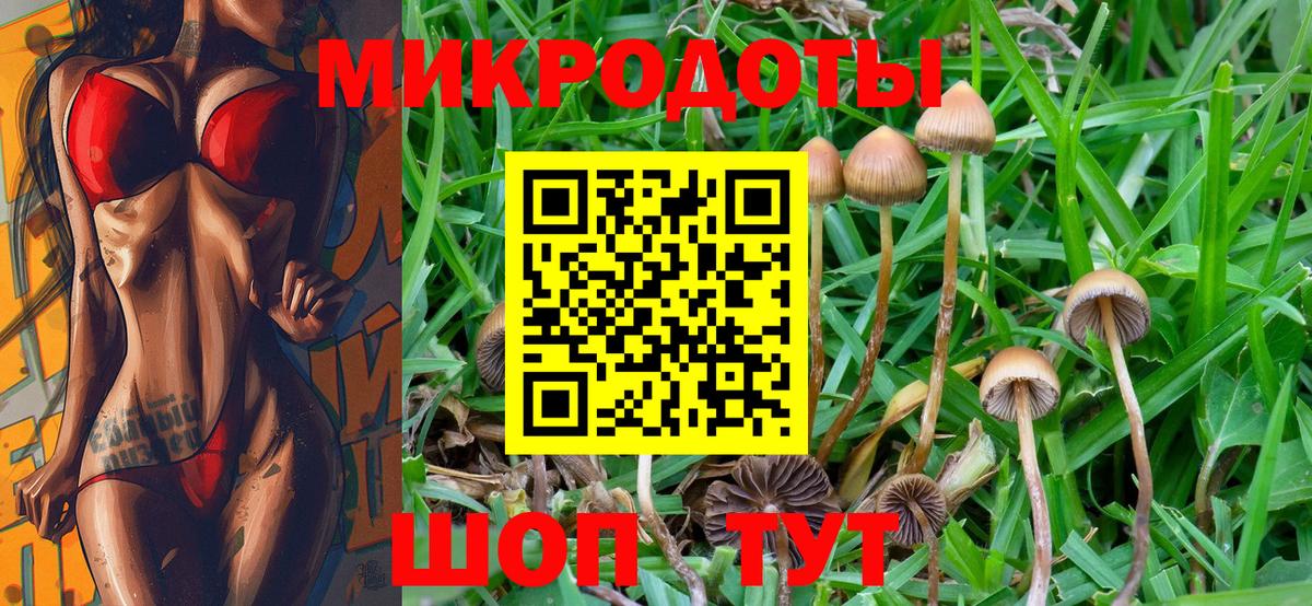 Семёнов  Псилоцибиновые грибы Psilocybine cubensis  Вход с VPN 