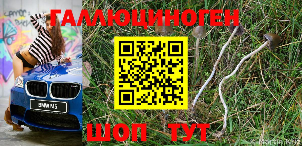 Галлюциногенные грибы Psilocybe Семёнов